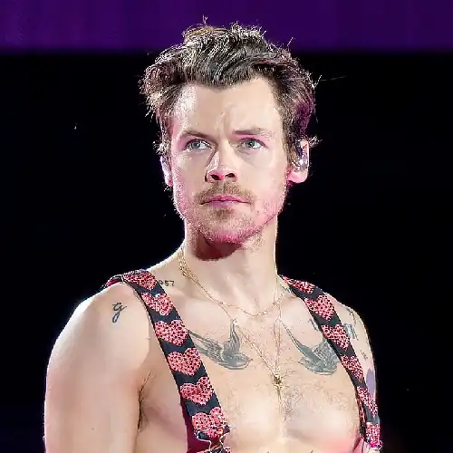 Harry Styles